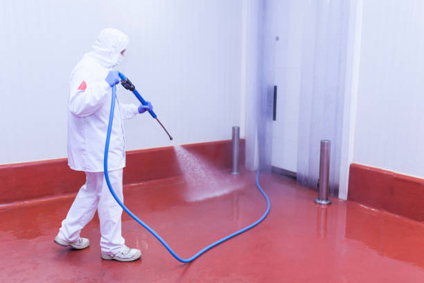 Best Patio and Deck Pressure Washing  in Quartz Hill, CA